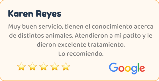 testimonio_02