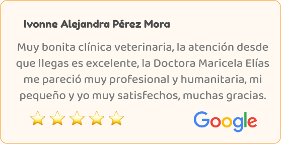 testimonio_04