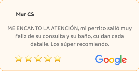 testimonio_05