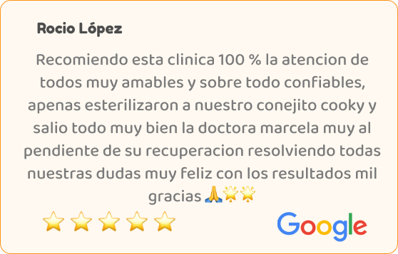 testimonio_11