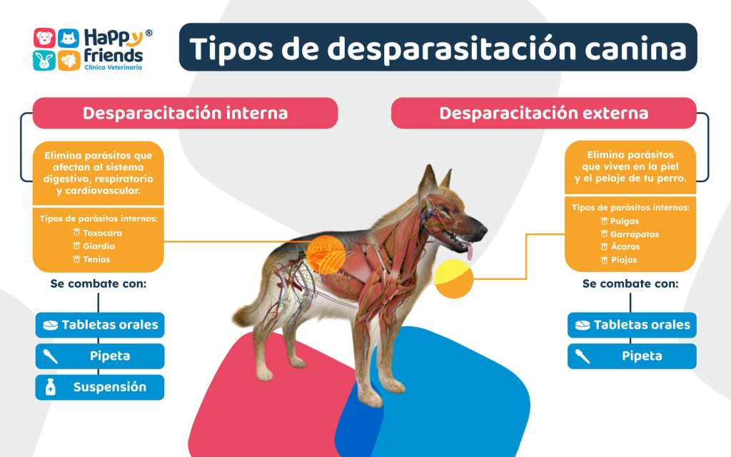 Tipos de desparasitación canina