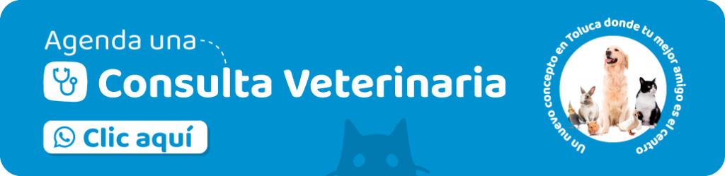 Happy Friends - agenda tu consulta veterinaria