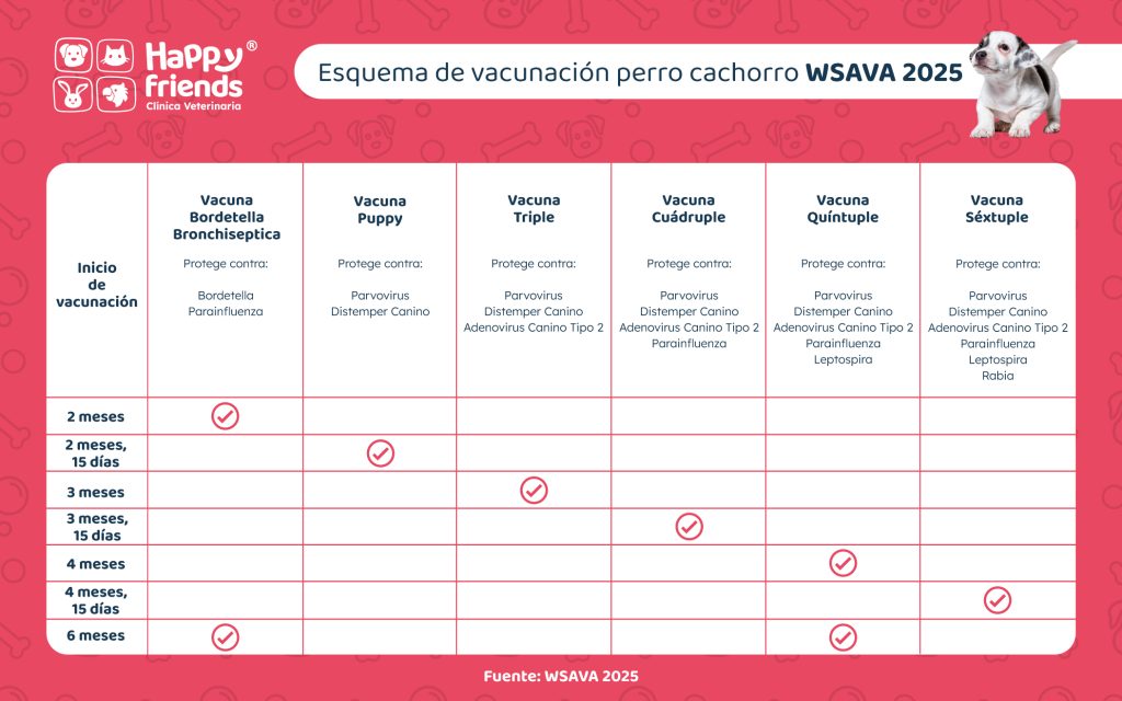 Esquema de vacunación perro cachorro