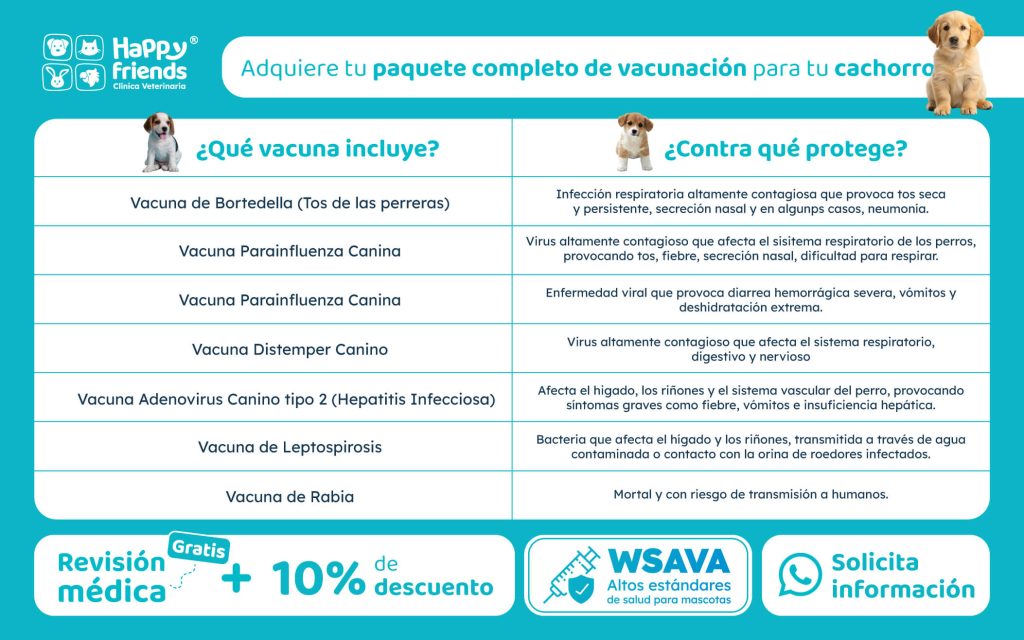 Paquete de vacunación Happy Friends