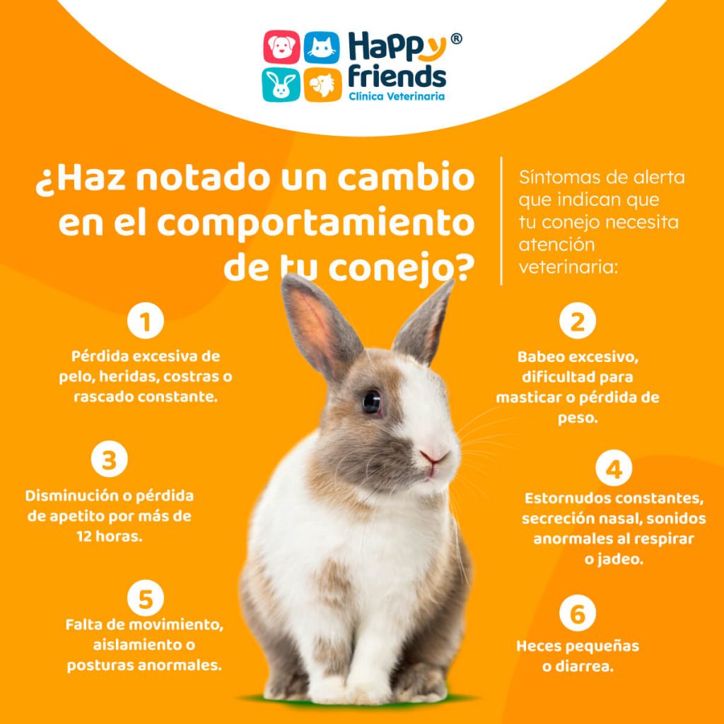 Conejo sobre fondo naranja con lista de síntomas que indican la necesidad de atención veterinaria en Happy Friends Clínica Veterinaria.