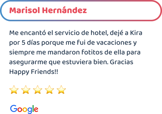 happy_friends_hotel_testimonio_01