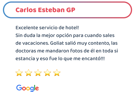 happy_friends_hotel_testimonio_03