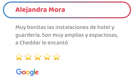 happy_friends_hotel_testimonio_04