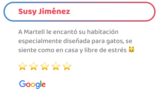 happy_friends_hotel_testimonio_06