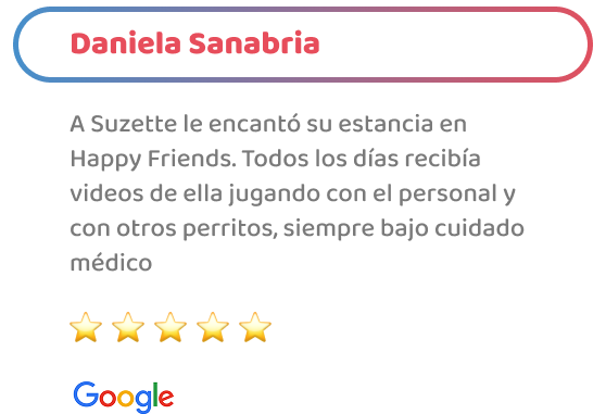 happy_friends_hotel_testimonio_07