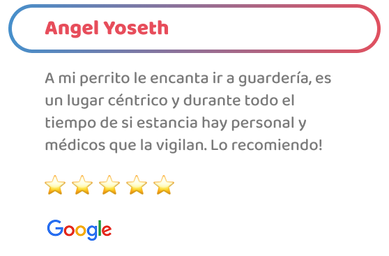 happy_friends_hotel_testimonio_08