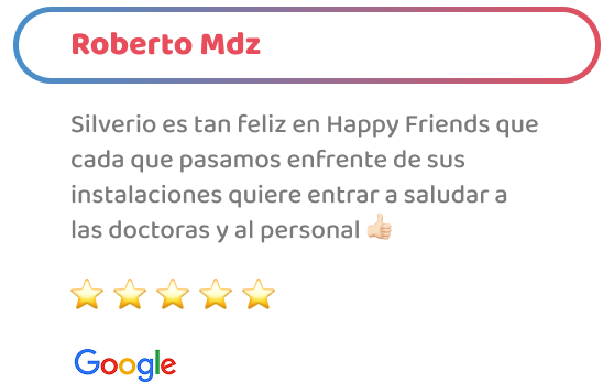 happy_friends_hotel_testimonio_10