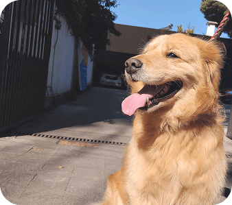 happy_friends_huespedes_02