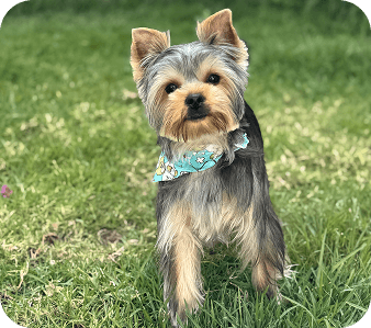 happy_friends_huespedes_03