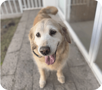 happy_friends_huespedes_04