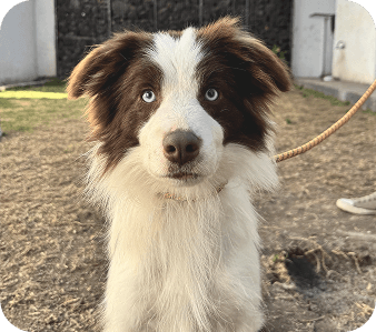 happy_friends_huespedes_05