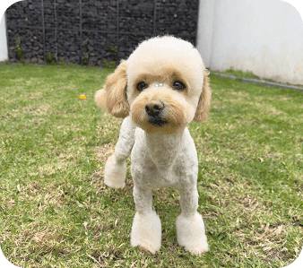 happy_friends_huespedes_06