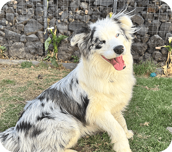 happy_friends_huespedes_07