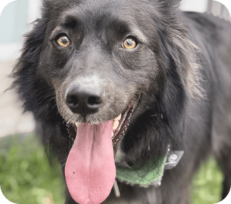 happy_friends_huespedes_08