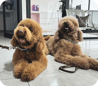 happy_friends_huespedes_09