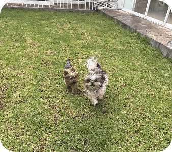 happy_friends_huespedes_11