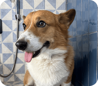 happy_friends_huespedes_12