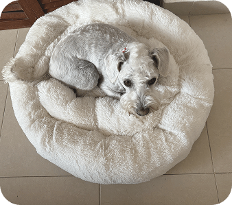 happy_friends_huespedes_13