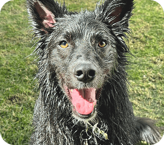 happy_friends_huespedes_14