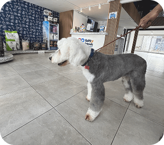 happy_friends_huespedes_15