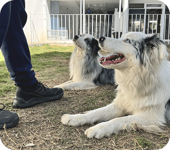 happy_friends_huespedes_16