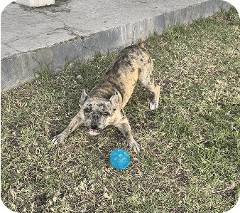 happy_friends_huespedes_17