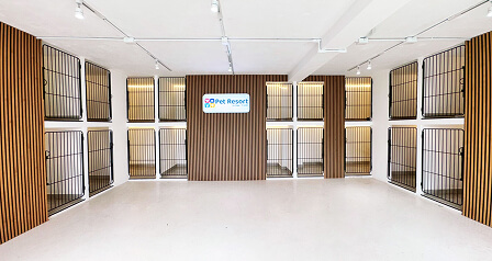 happy_friends_servicio_suites