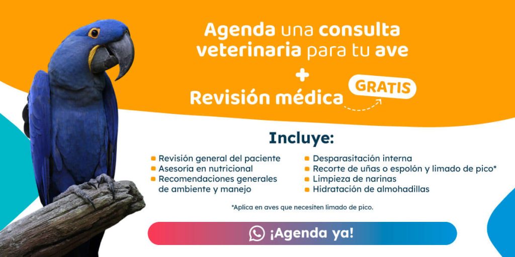 Guacamayo azul en rama con fondo promocional sobre consulta veterinaria para aves en Happy Friends, con revisión médica gratis.