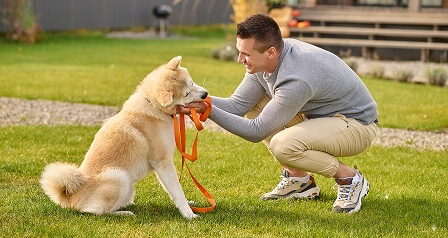 happy-friends-entrenamiento-diagnostico-img-01