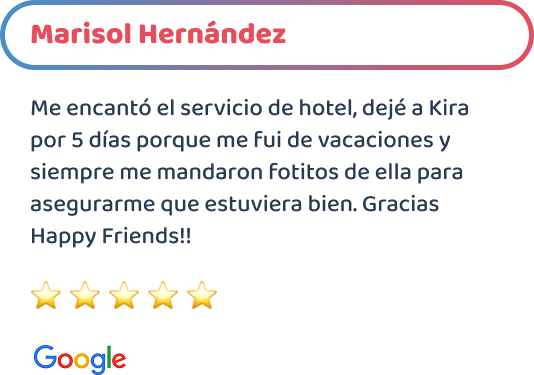 happy-friends-entrenamiento-testimonios-01