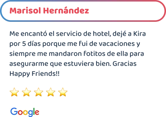 happy-friends-entrenamiento-testimonios-01