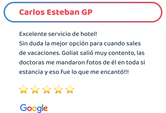 happy-friends-entrenamiento-testimonios-03