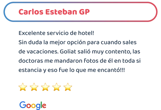 happy-friends-entrenamiento-testimonios-03