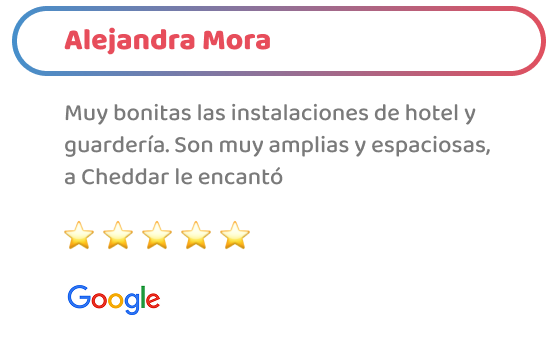 happy-friends-entrenamiento-testimonios-04