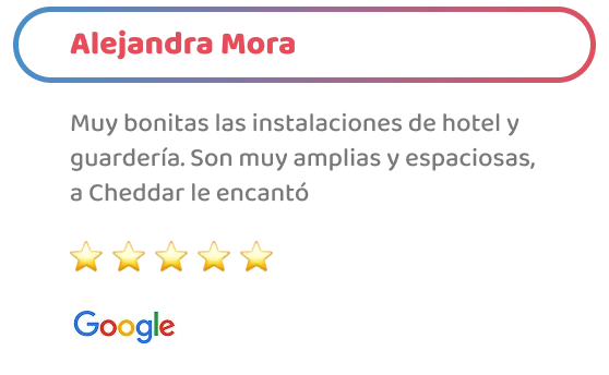 happy-friends-entrenamiento-testimonios-04