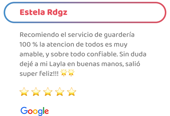 happy-friends-entrenamiento-testimonios-05