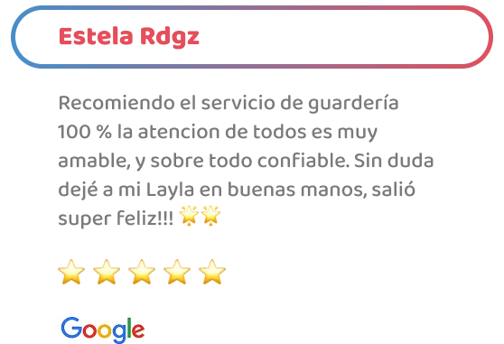 happy-friends-entrenamiento-testimonios-05