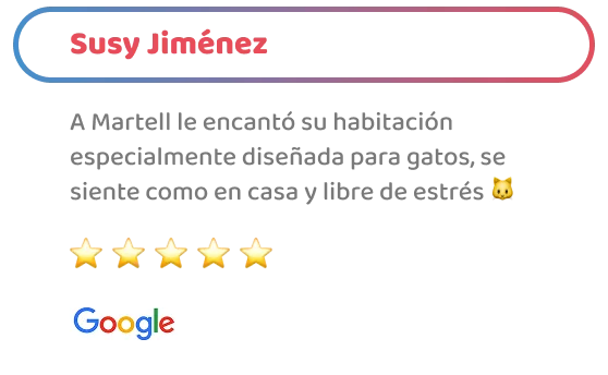happy-friends-entrenamiento-testimonios-06