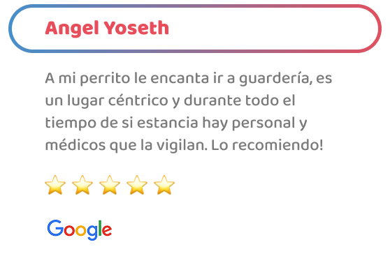 happy-friends-entrenamiento-testimonios-08