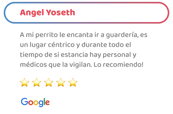 happy-friends-entrenamiento-testimonios-08