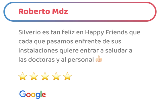 happy-friends-entrenamiento-testimonios-10