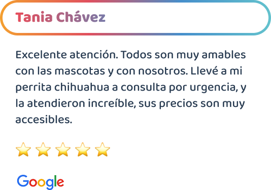 happy-friends-home-testimonios-06