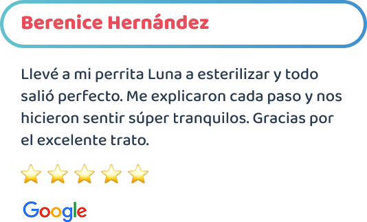 happy-friends-esterilizacion-canina-testimonios-01