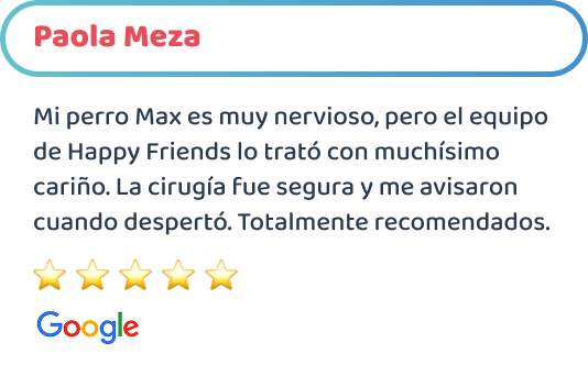 happy-friends-esterilizacion-canina-testimonios-02