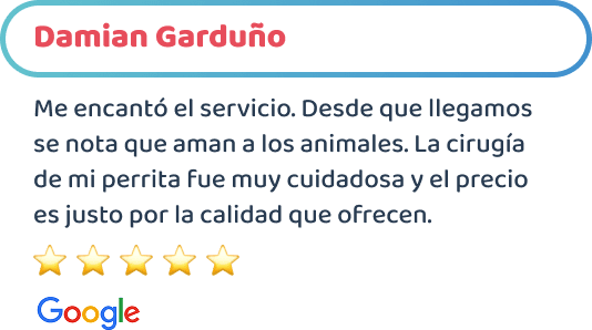 happy-friends-esterilizacion-canina-testimonios-04